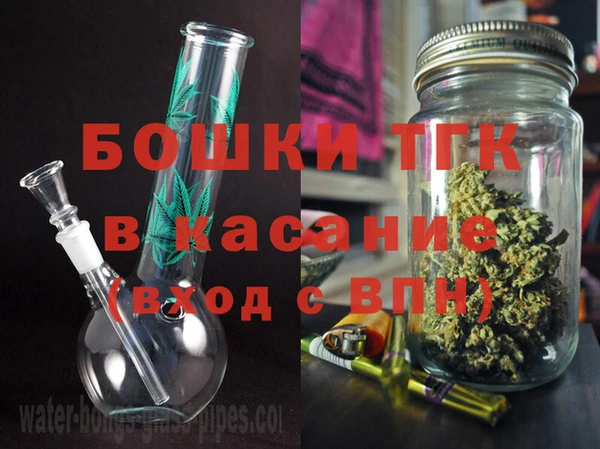 прущие грибы Анжеро-Судженск