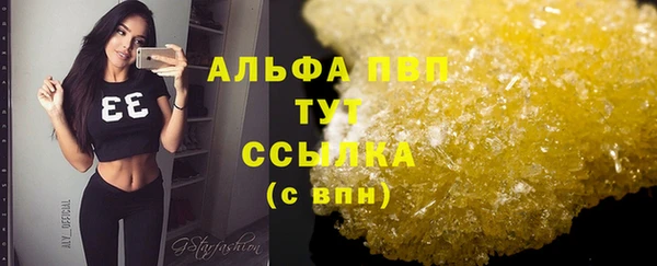 прущие грибы Анжеро-Судженск